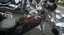 n_154.jpg