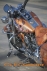 n_186.jpg