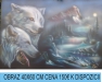 n_260.jpg